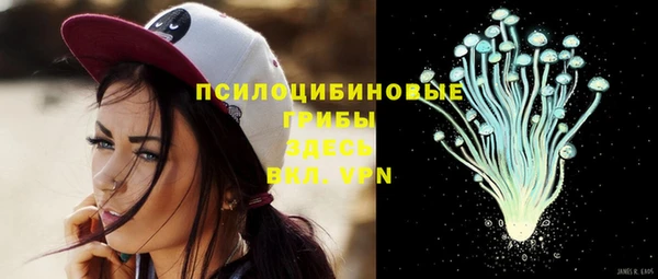 кокс Вяземский