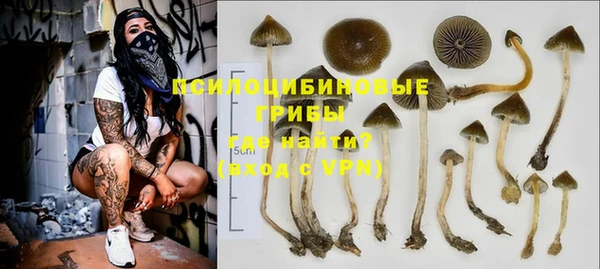 шишки Волоколамск